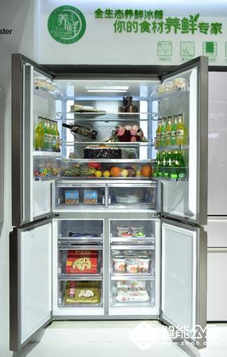 容声养鲜团标正式出台 冰箱进入养鲜标准元年 智能公会