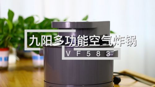 宅在家里吃烧烤 九阳多功能空气炸锅VF583深度评测