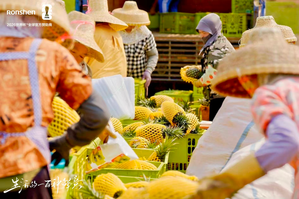留住菠萝的每一度甜：容声冰箱携手徐闻菠萝解锁“菠萝鲜切”新体验 智能公会