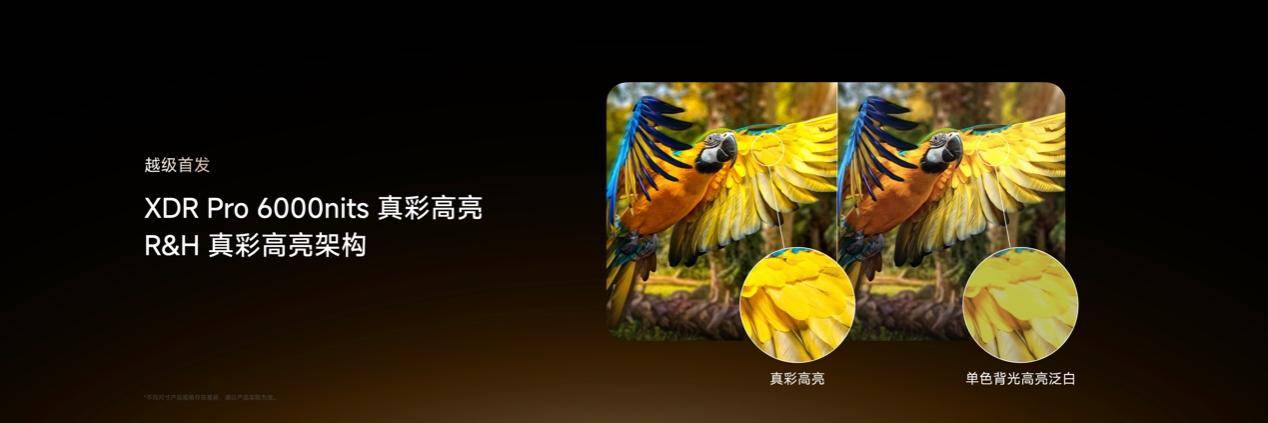 性能旗舰再进阶！海信电视E7S Pro+正式发布，首发杜比视界第二代MAX 智能公会